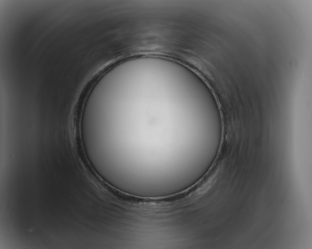 X0000089931458200706290745