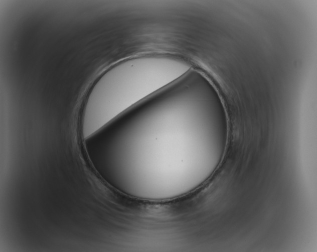 X0000089931459200706290745