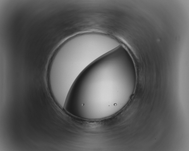 X0000089931460200706290745
