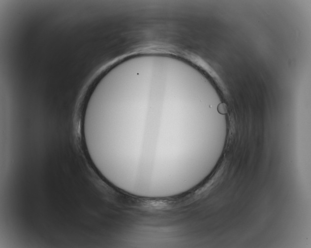 X0000089931462200706290745
