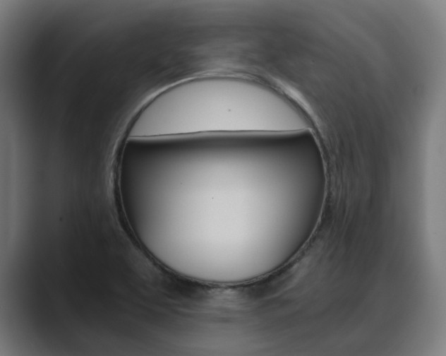 X0000089931463200706290745