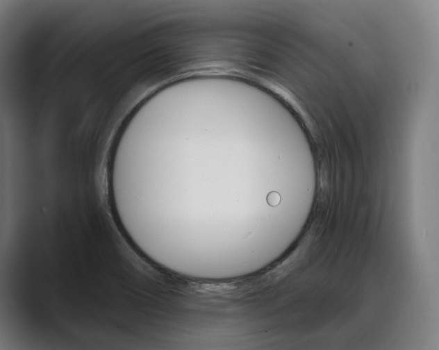 X0000089931466200706290745