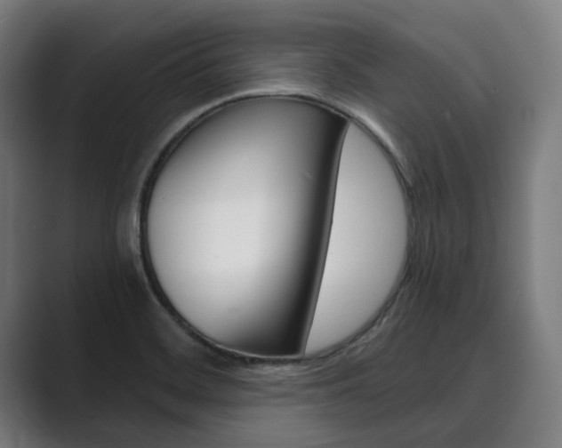 X0000089931468200706290745