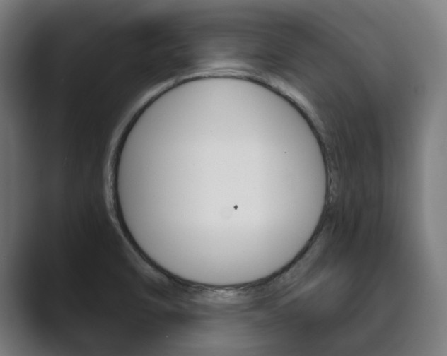 X0000089931470200706290745