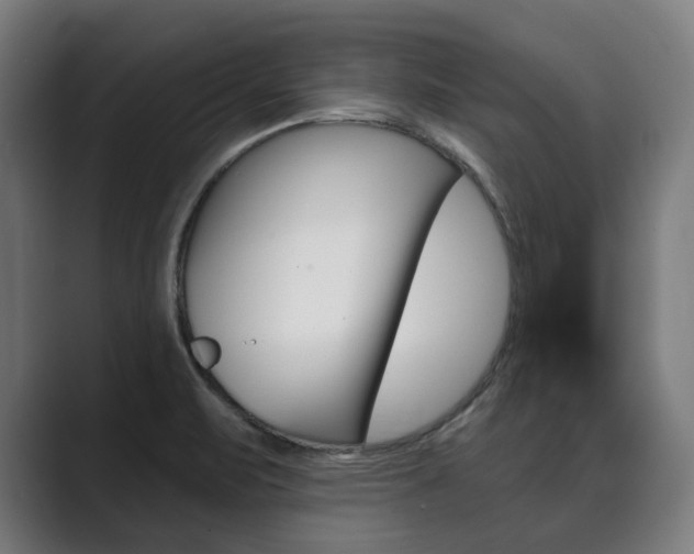 X0000089931471200706290745