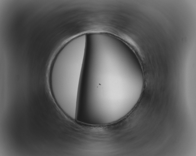 X0000089931472200706290745