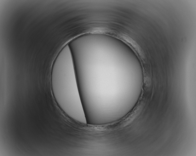 X0000089931473200706290745