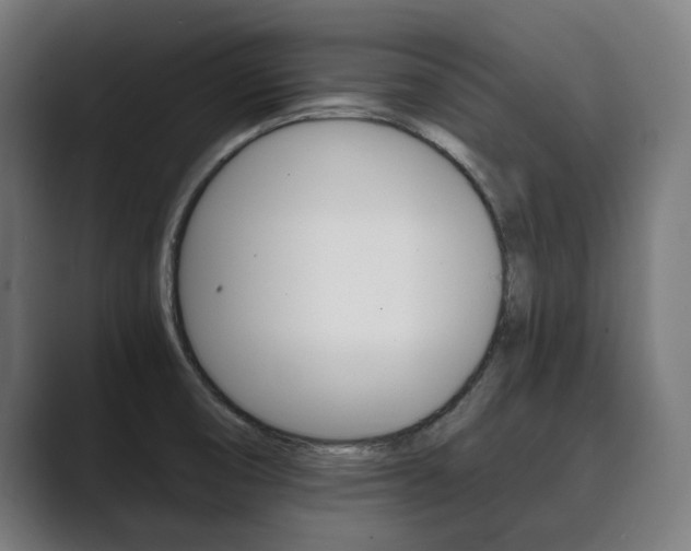 X0000089931474200706290745