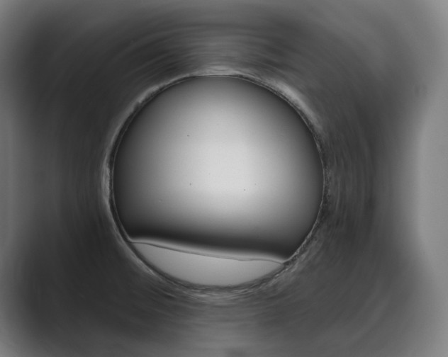 X0000089931476200706290745