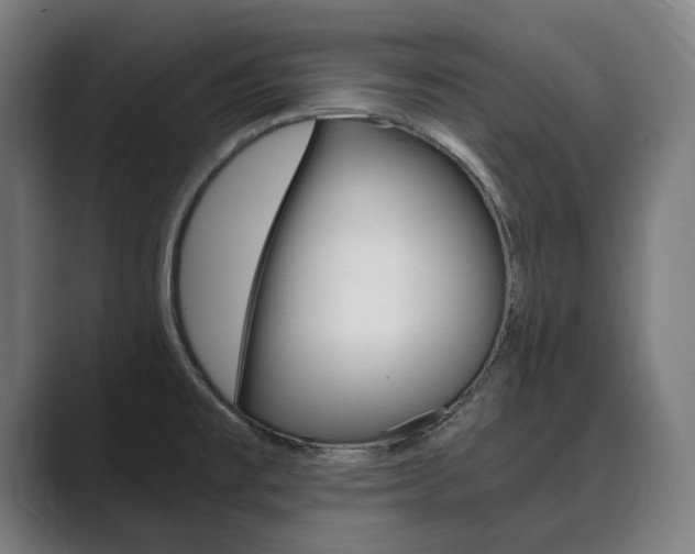 X0000089931477200706290745
