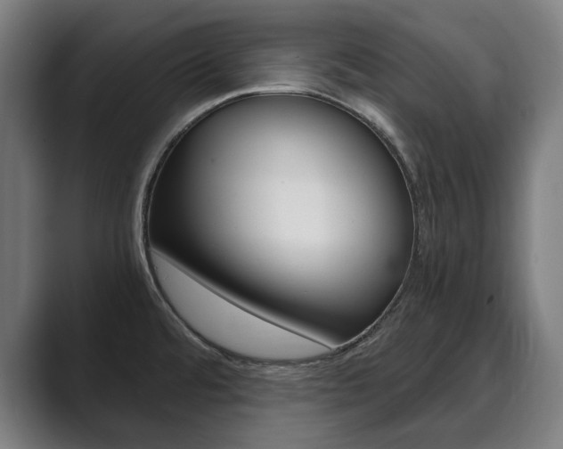 X0000089931480200706290745