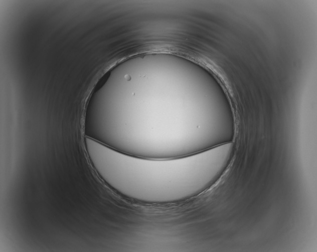 X0000089931481200706290745