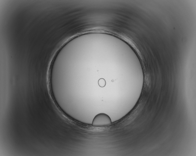 X0000089931482200706290745