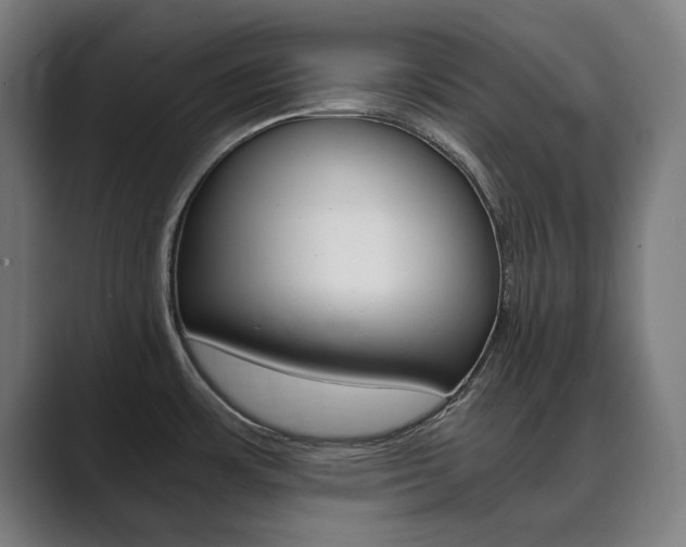 X0000089931483200706290745