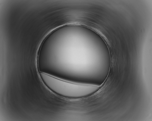 X0000089931484200706290745