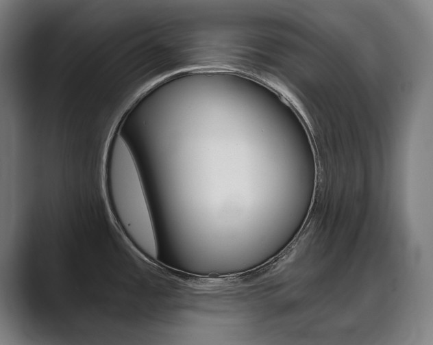 X0000089931485200706290745