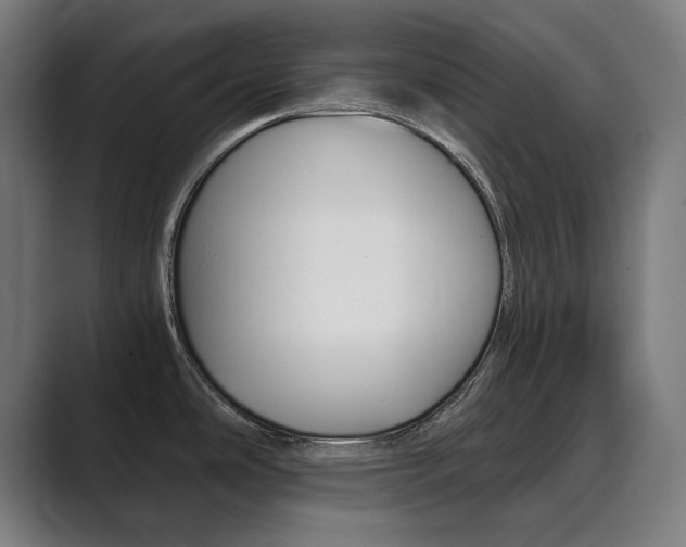 X0000089931486200706290745