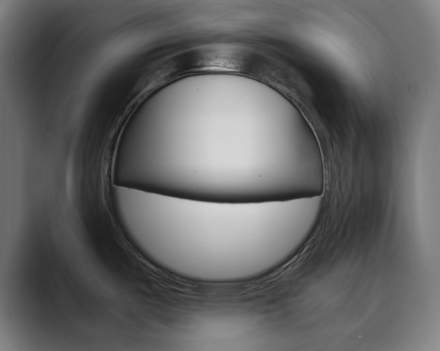 X0000089931487200706290745