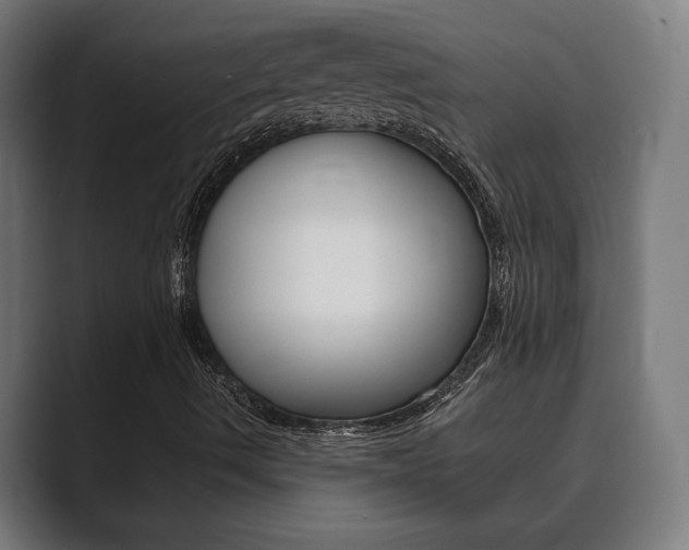 X0000089931490200706290744