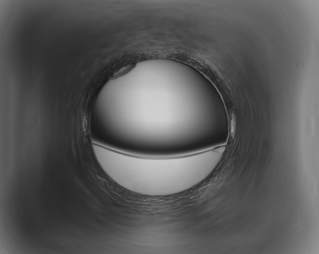 X0000089931492200706290744