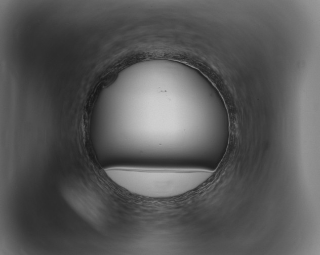 X0000089931493200706290744