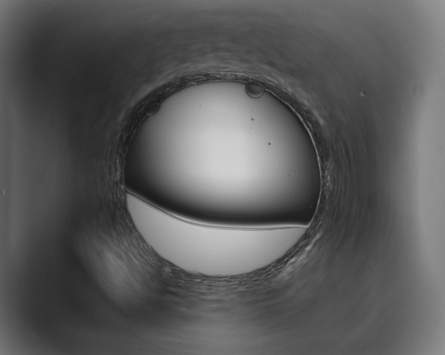 X0000089931494200706290744