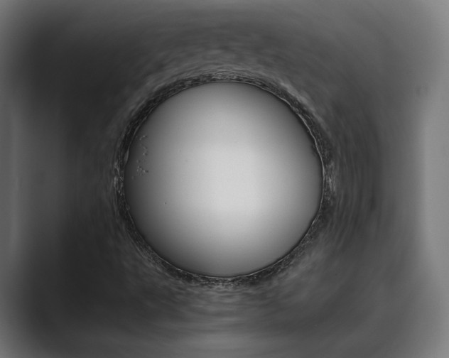 X0000089931495200706290744