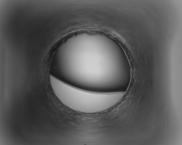 X0000089931496200706290744