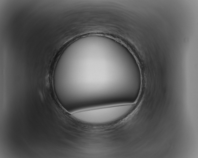 X0000089931497200706290744