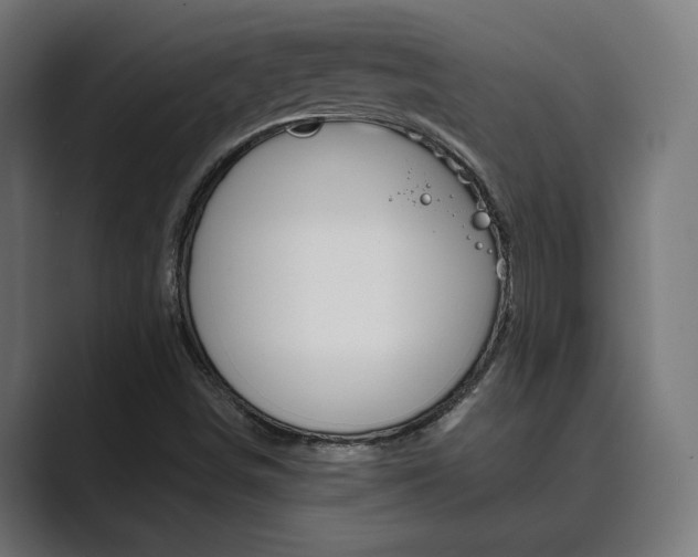 X0000089931498200706290744