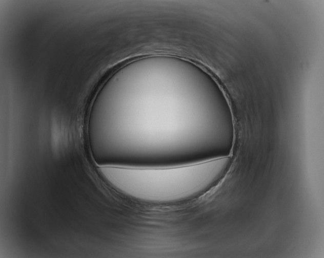 X0000089931499200706290744