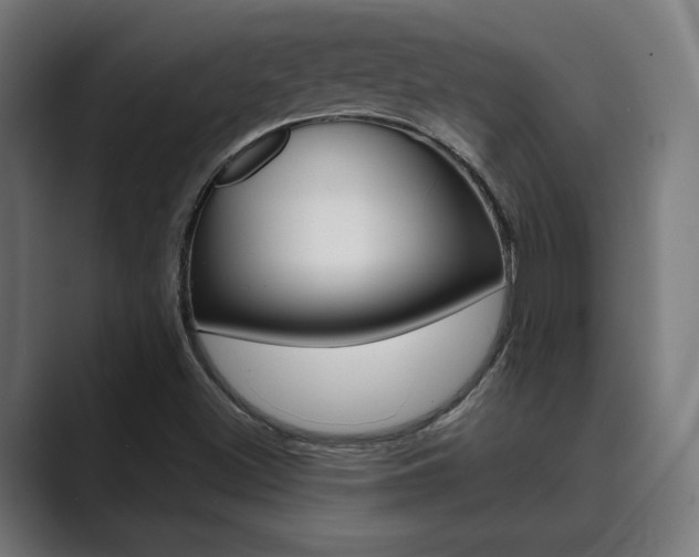 X0000089931500200706290744