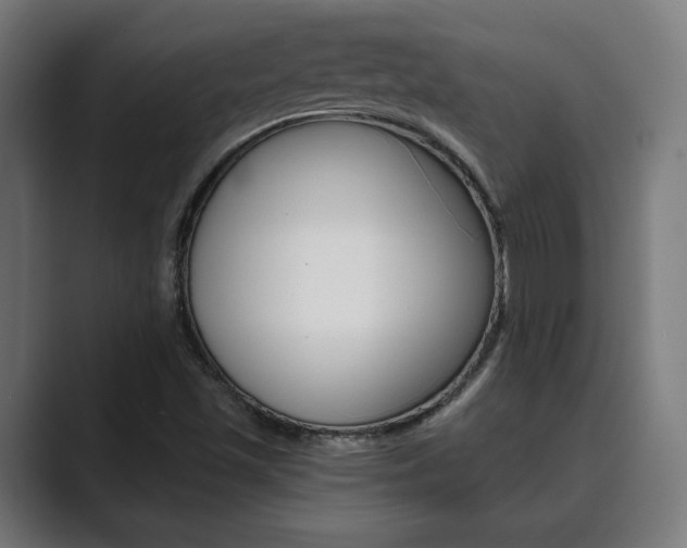 X0000089931501200706290744