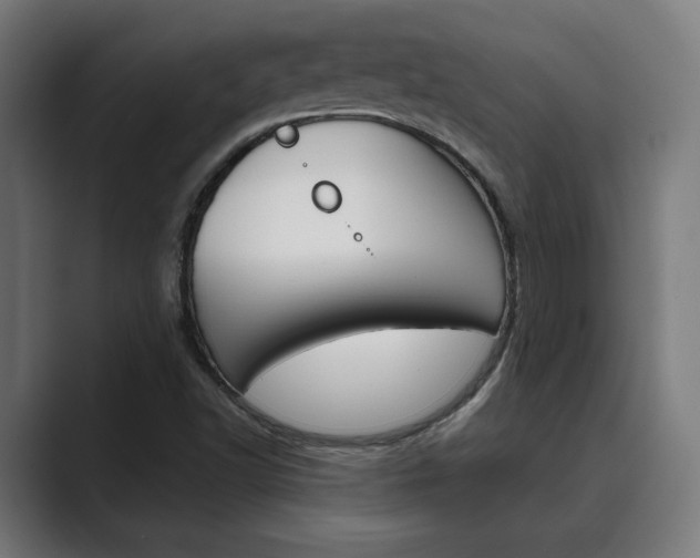 X0000089931502200706290745