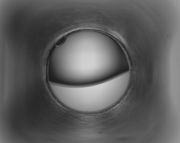 X0000089931504200706290745