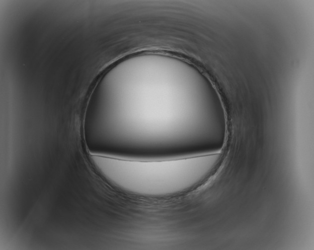 X0000089931505200706290745