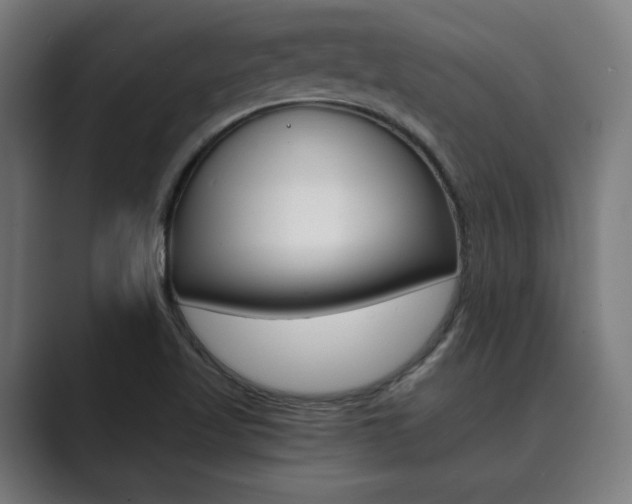 X0000089931509200706290745