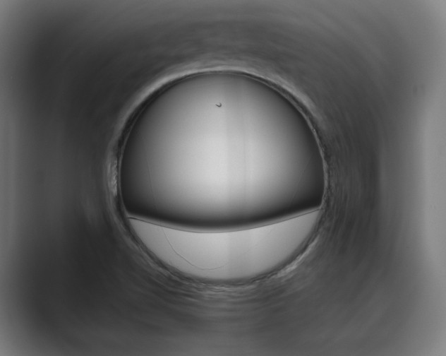 X0000089931510200706290745
