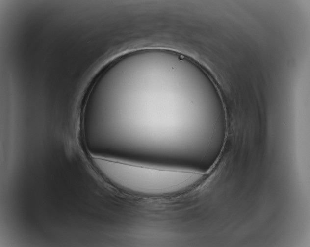 X0000089931511200706290745