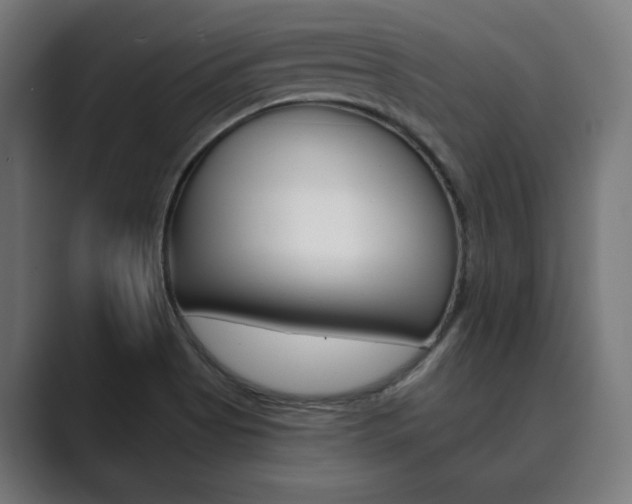 X0000089931513200706290745