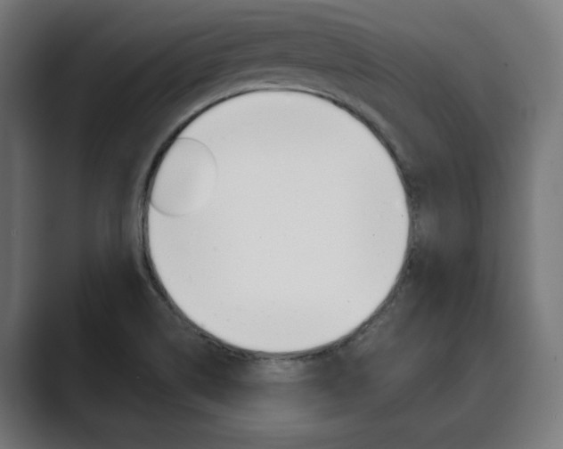 X0000089931514200706290745