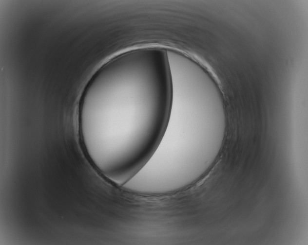 X0000089931516200706290745