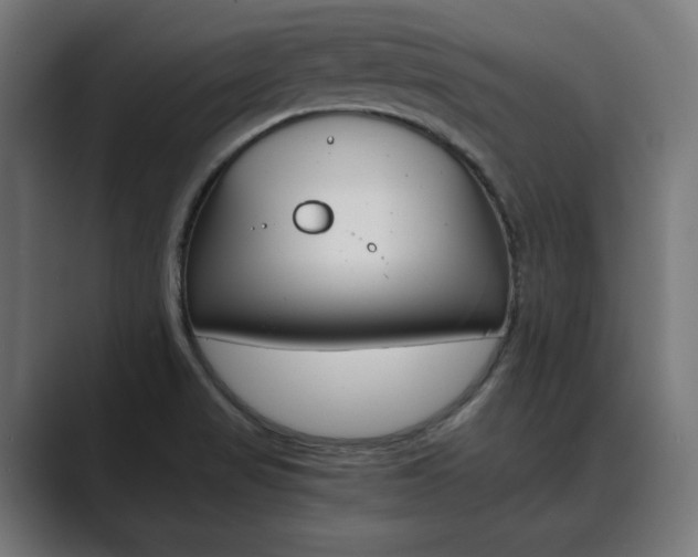 X0000089931517200706290745