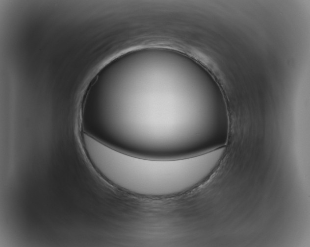 X0000089931520200706290745