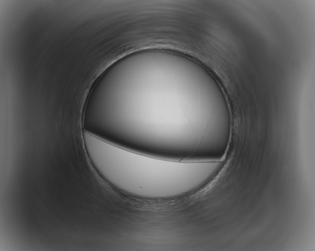X0000089931521200706290745