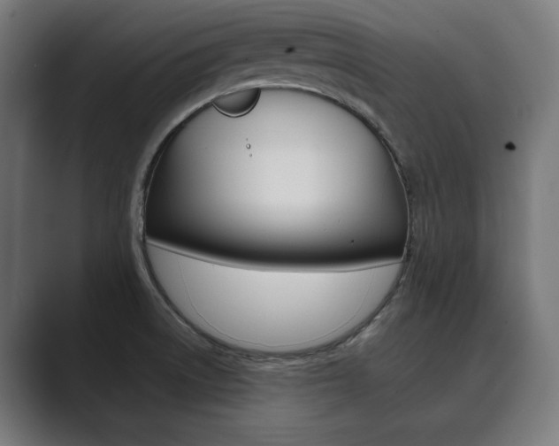 X0000089931522200706290745