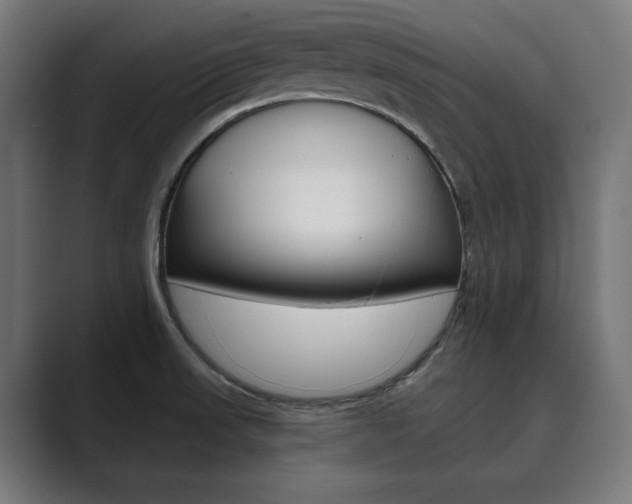 X0000089931523200706290745