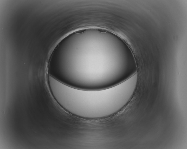 X0000089931524200706290745