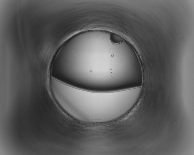 X0000089931525200706290745