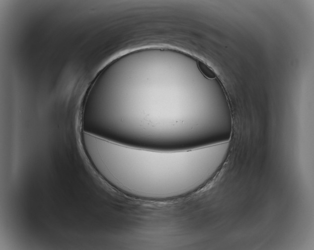 X0000089931526200706290745